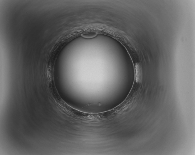 X0000114101491200910131311