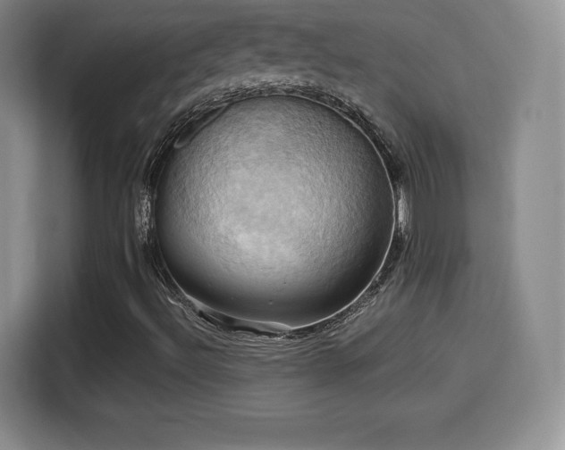 X0000114101492200910131311