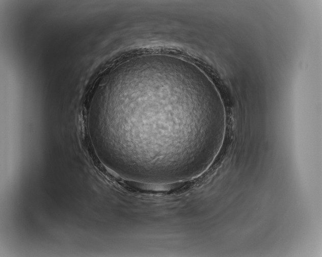 X0000114101493200910131311