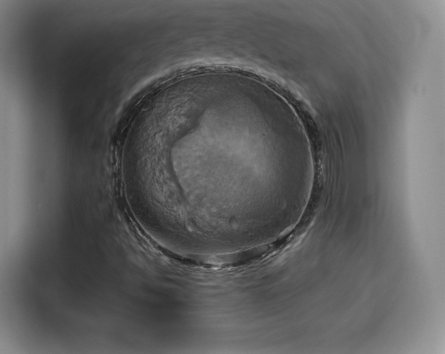 X0000114101494200910131311