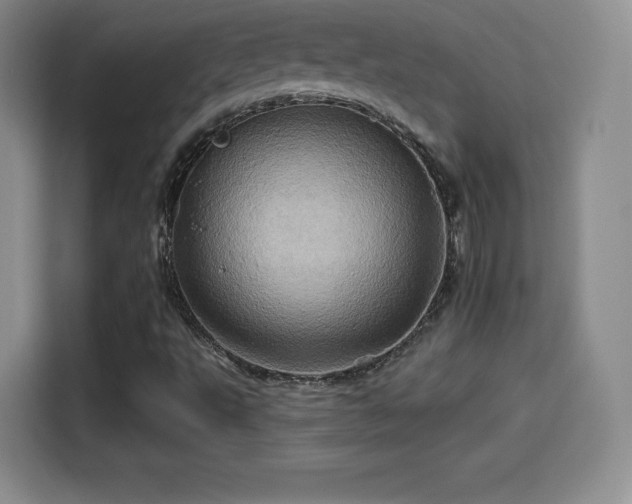 X0000114101495200910131311