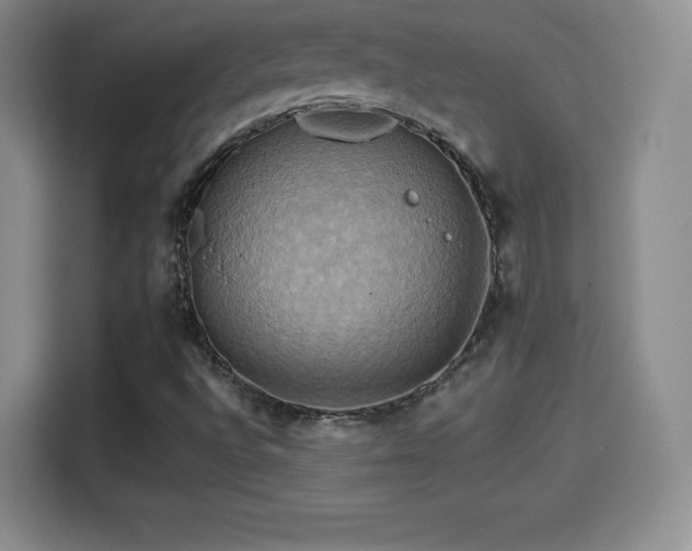 X0000114101496200910131311