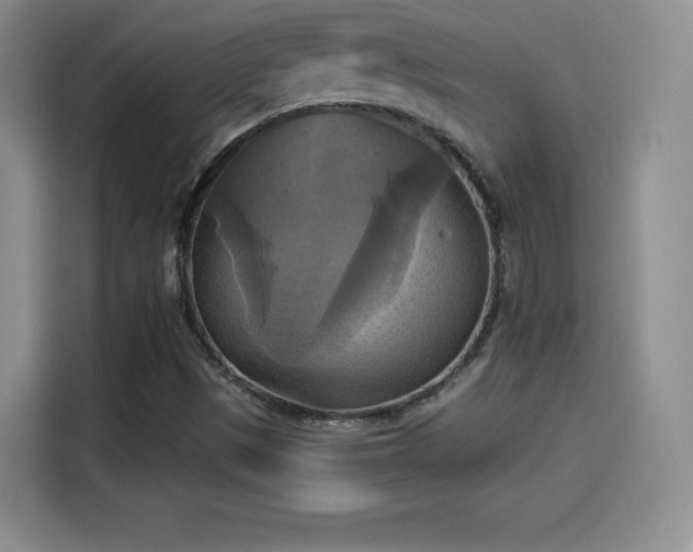 X0000114101497200910131311