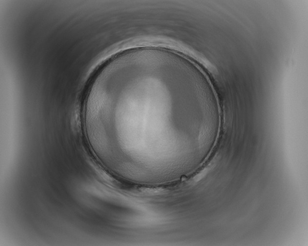 X0000114101498200910131312