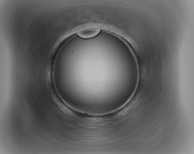 X0000114101499200910131312