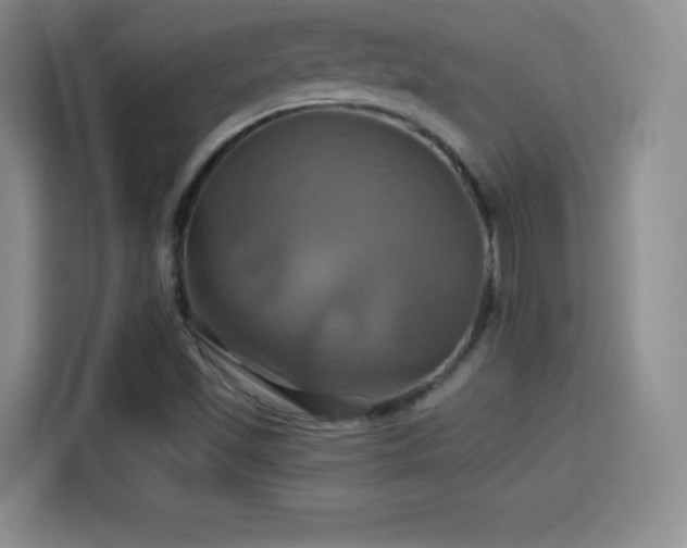 X0000114101501200910131312