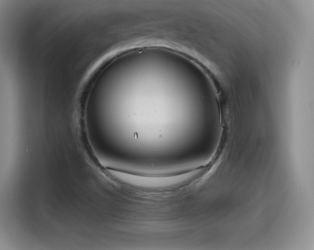 X0000114101502200910131312