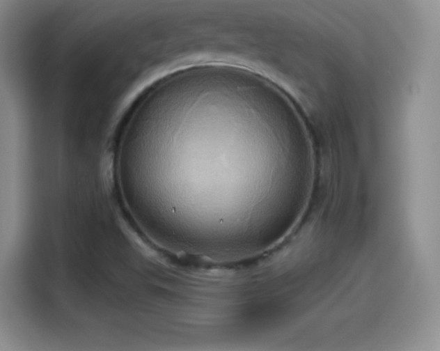 X0000114101503200910131312