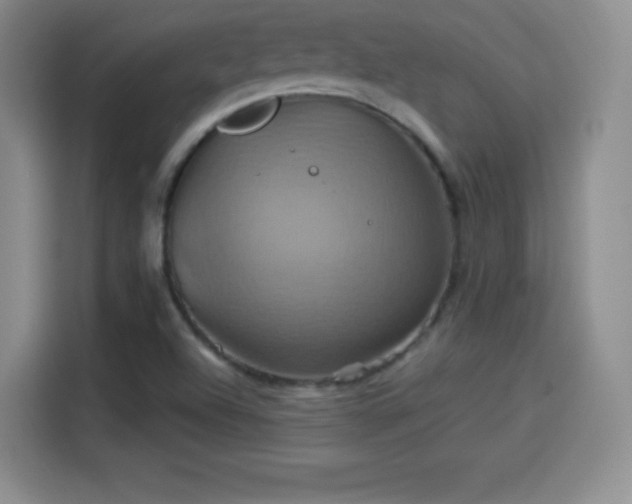 X0000114101504200910131312