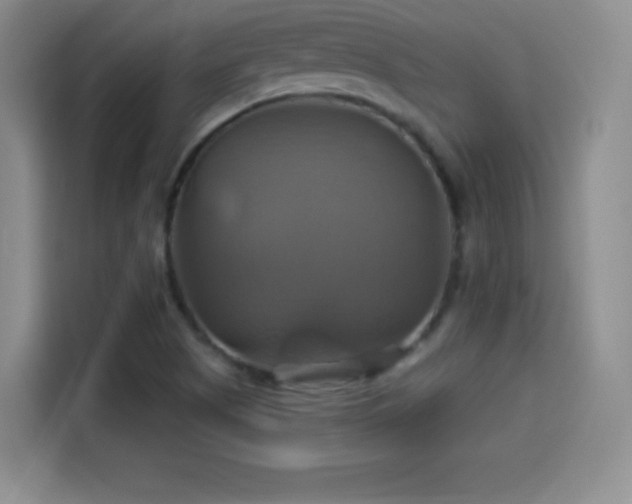 X0000114101505200910131312