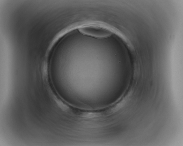 X0000114101506200910131312