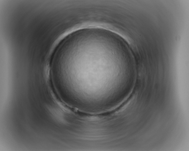 X0000114101507200910131312