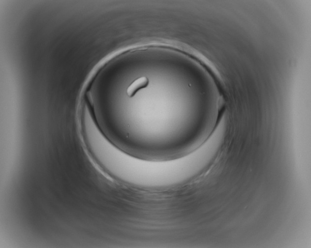 X0000114101508200910131312