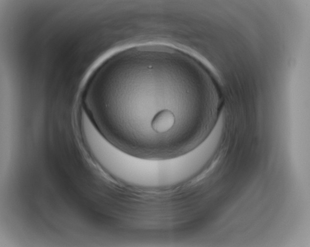 X0000114101510200910131312