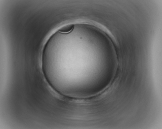 X0000114101512200910131312