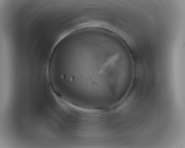 X0000114101513200910131312