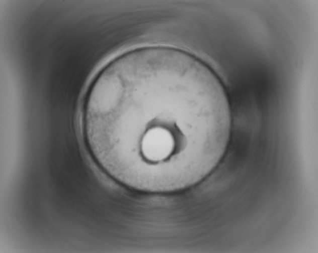 X0000114101514200910131312