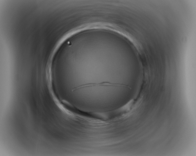 X0000114101515200910131312