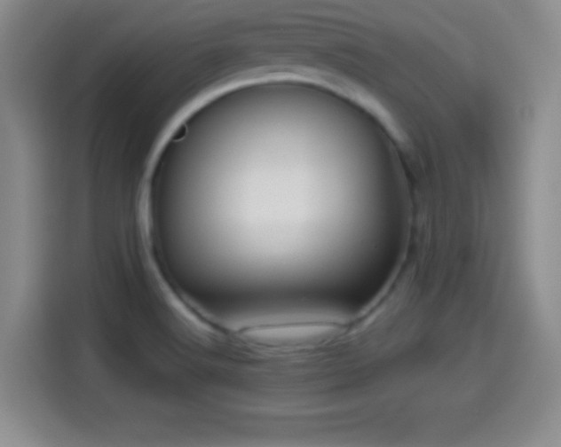 X0000114101516200910131312