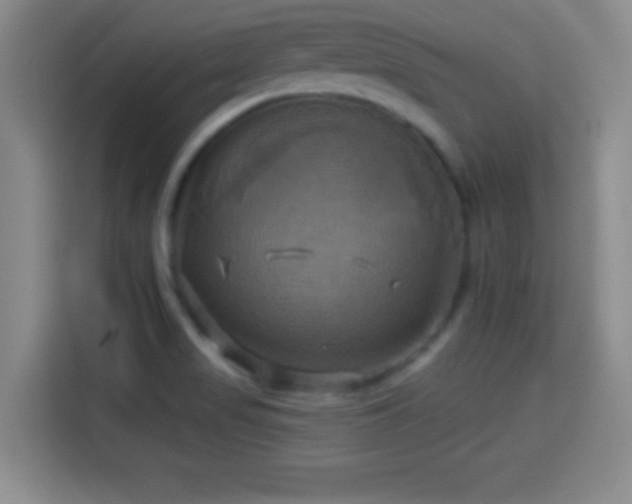 X0000114101517200910131312