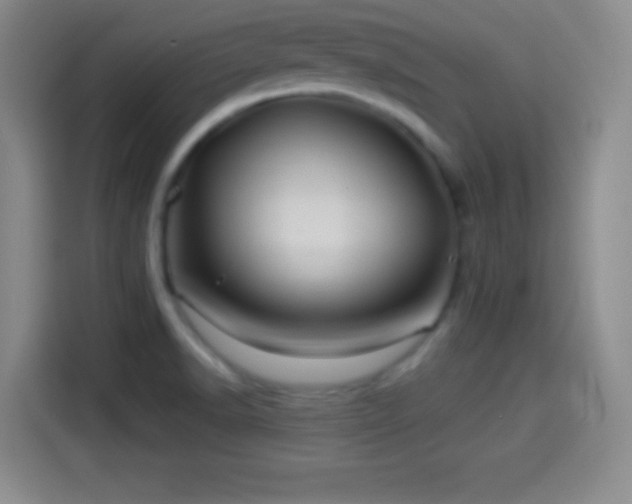 X0000114101518200910131312