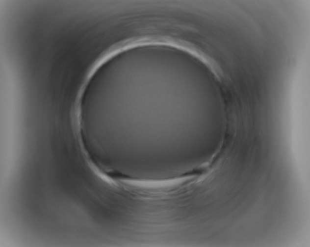 X0000114101519200910131312