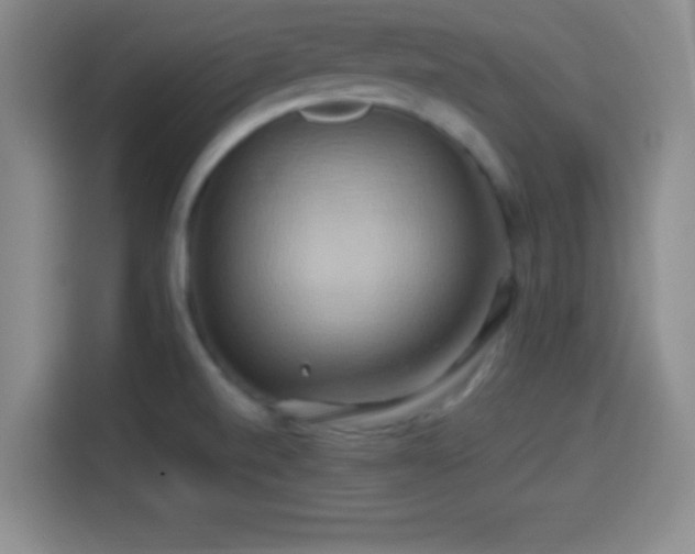 X0000114101520200910131312