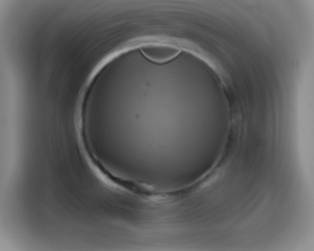 X0000114101523200910131312