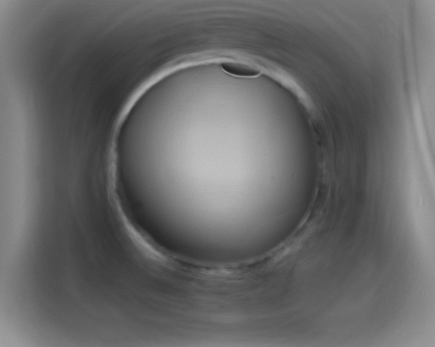 X0000114101524200910131312