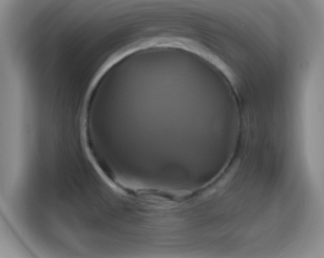 X0000114101525200910131312