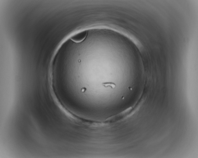 X0000114101526200910131312