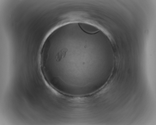 X0000114101527200910131312