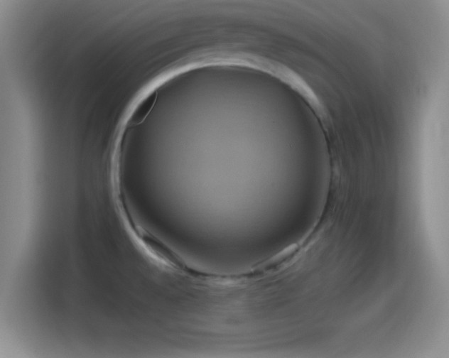 X0000114101528200910131312