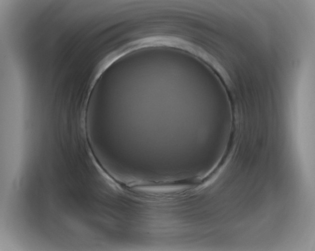 X0000114101529200910131312