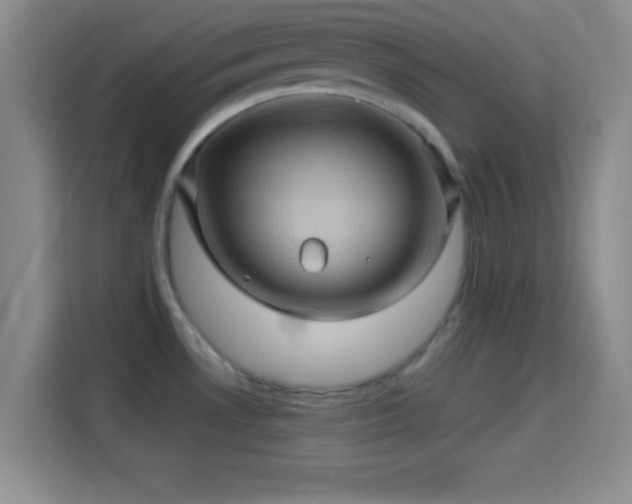 X0000114101530200910131312