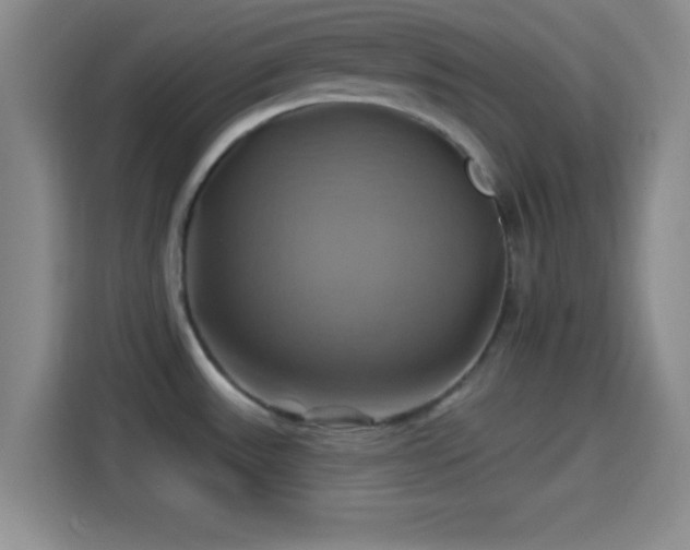 X0000114101531200910131312