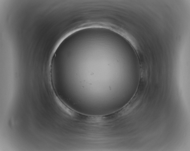 X0000114101532200910131312