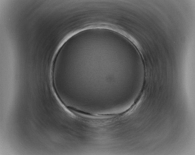 X0000114101533200910131312