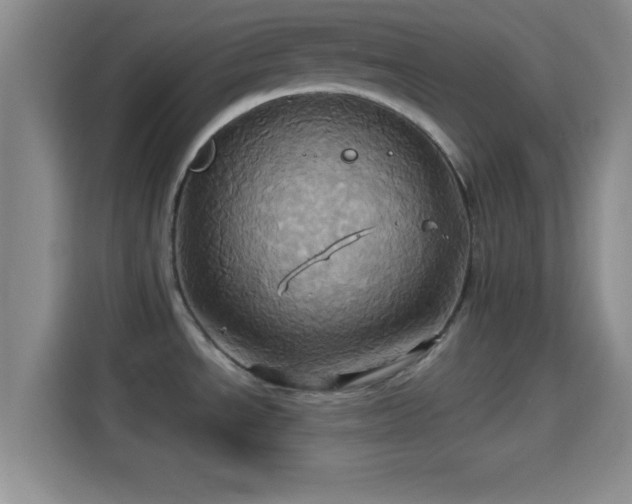 X0000114101534200910131312