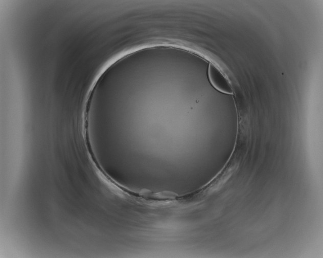 X0000114101535200910131312