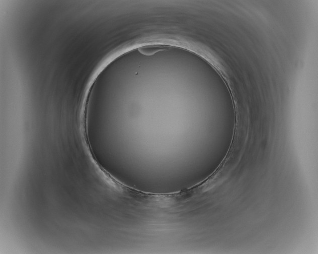 X0000114101536200910131312