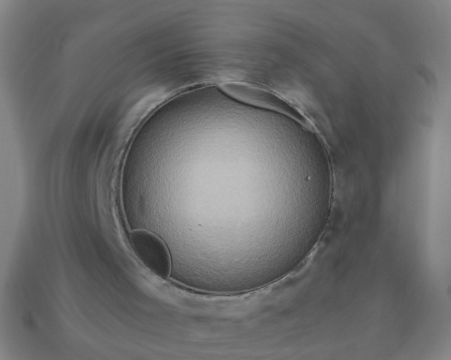 X0000114100001200910191651