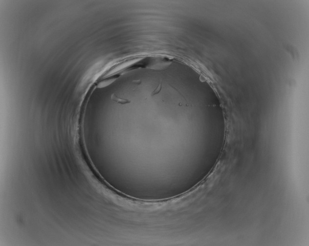 X0000114100002200910191651