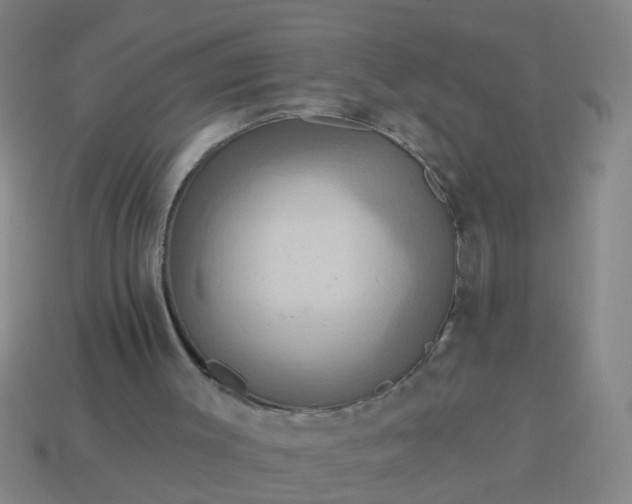 X0000114100003200910191651