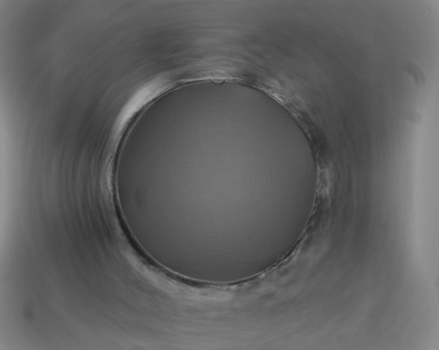 X0000114100004200910191651