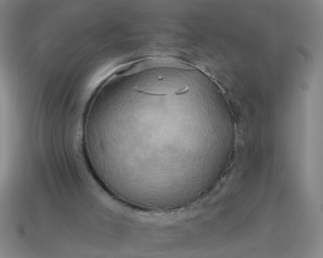 X0000114100005200910191651