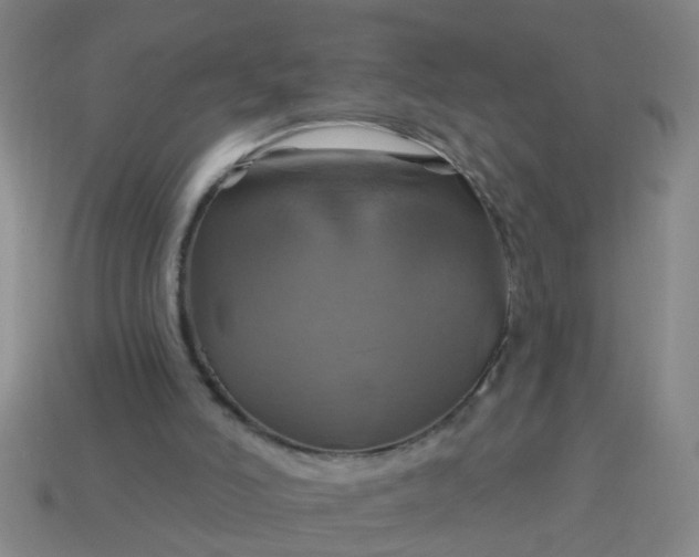 X0000114100006200910191651