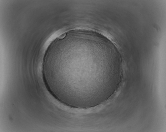 X0000114100007200910191651