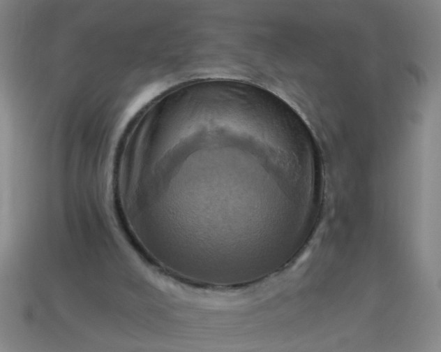 X0000114100008200910191651