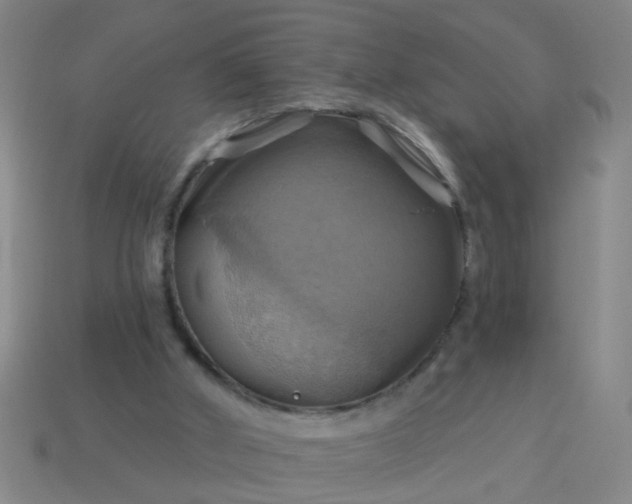 X0000114100010200910191651